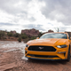 Image for article titled I Am a Mustang Woman Now